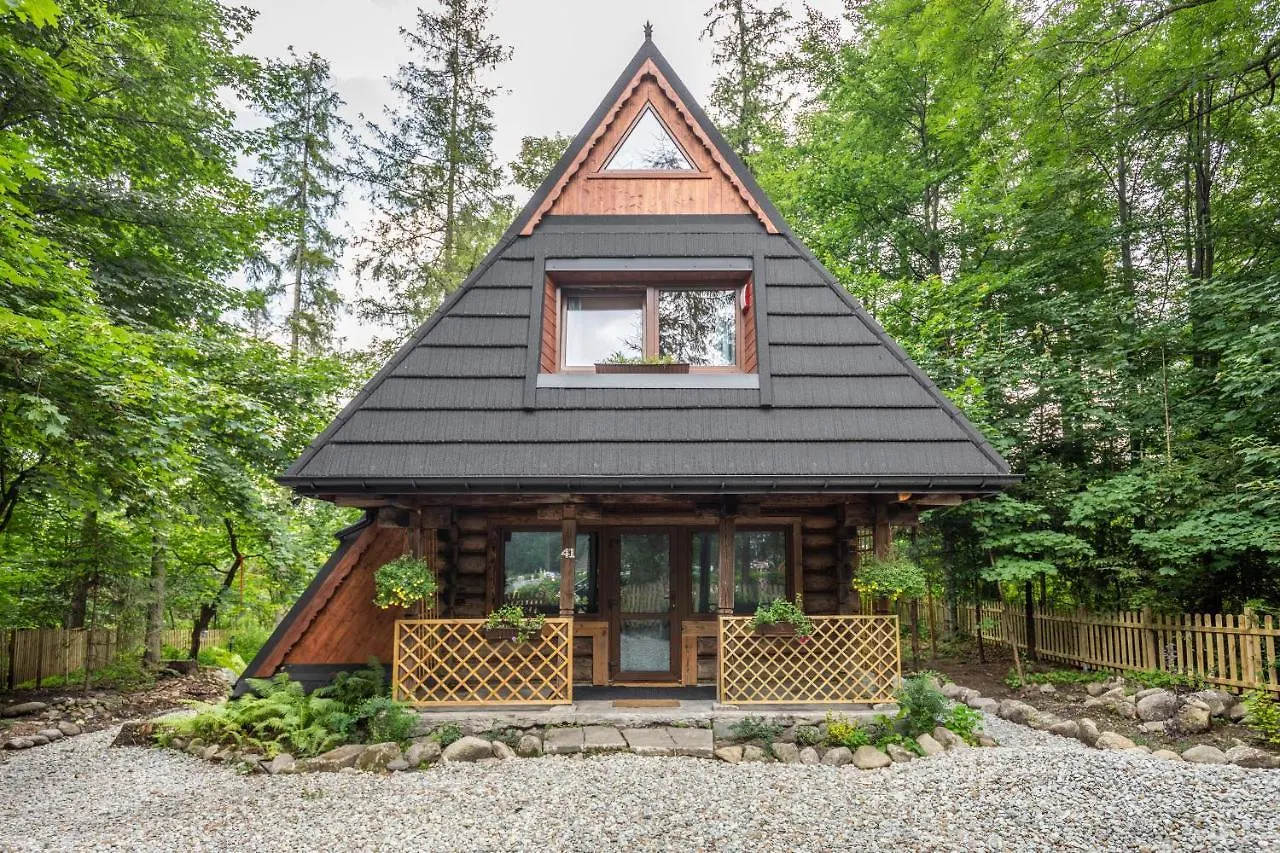 Chalet Chalubinskiego 41 - Loftaffair Zakopane